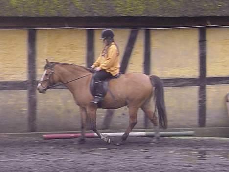 Anden særlig race samson - winnie og samson igen billede 13