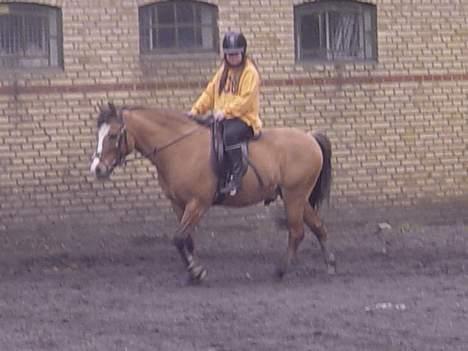 Anden særlig race samson - og igen winnie og samson billede 14