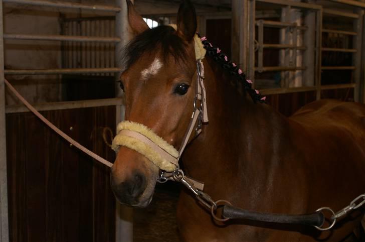 DSP Gloria Søblink - :) billede 13