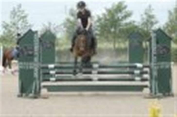 DSP Gloria Søblink - Springkursus 09 :) billede 15