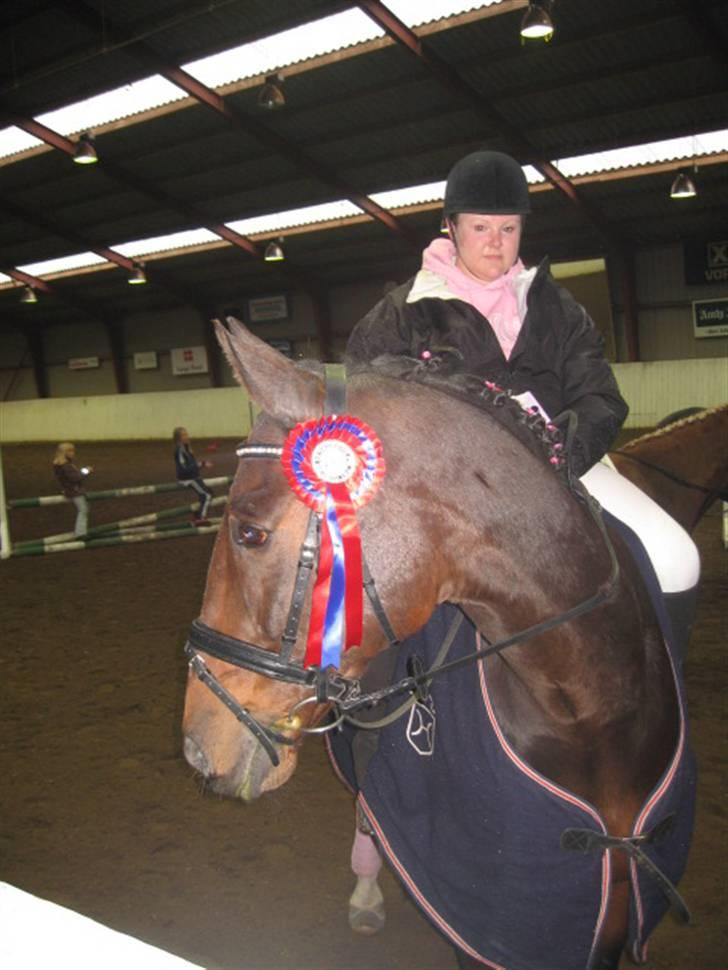 Holstener chester *RIP* - fejlfri babyjump 28/10-07 fik også hårtørre :) stevnstrup billede 17