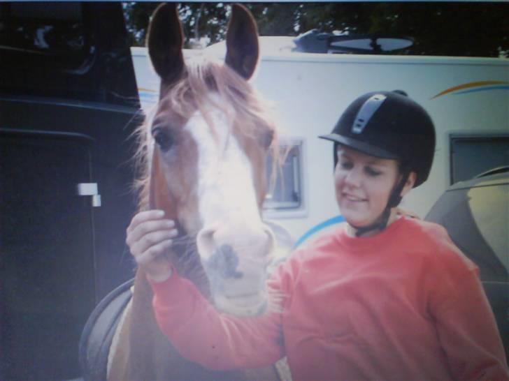 Arabisk fuldblod (OX) Stuntwan Miss you /Solgt/ -  vildt sjovt   billede 6