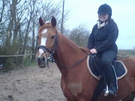 Traver Charmeur ***R.I.P*** - her sidder Maria på mig, og jeg står helt stille fordi det er hende :-) billede 4