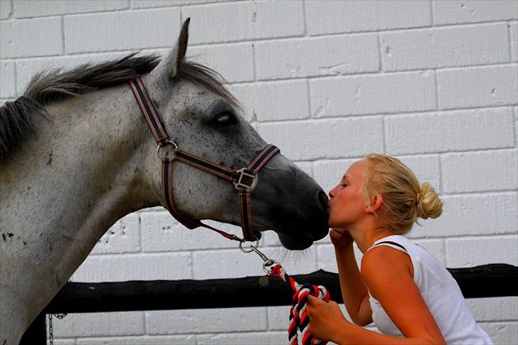 Anden særlig race Houdini ~ Solgt /: - uden dig ville jeg være en prinsesse uden prins en violin uden strænge on krop uden hjerte uden dig ville jeg være ingen ting <3 Foto: DBR billede 19