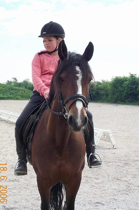 Connemara Cover Girl SOLGT - Her er miq & min dejliqe pony Cover Girl <333´ billede 1