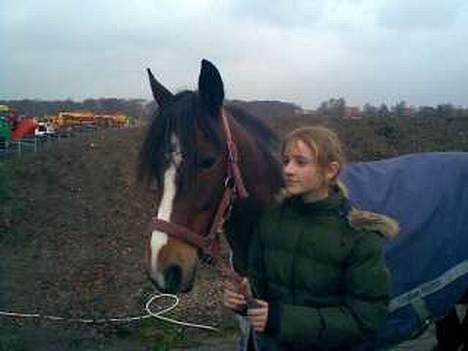 Connemara Cover Girl SOLGT - Min smukke Cover samn med Min bedste veninnde Majken <3´ billede 2