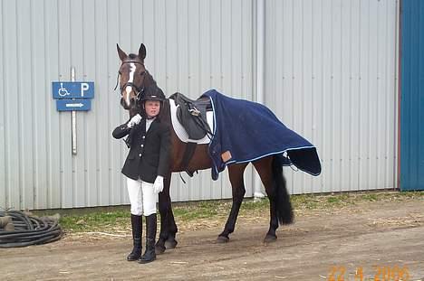 Connemara Cover Girl SOLGT - Miq & Cover <3´ billede 3