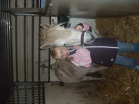 Anden særlig race Snehvide - et dagligt billede af mig og snehvide (SOLGT) billede 4