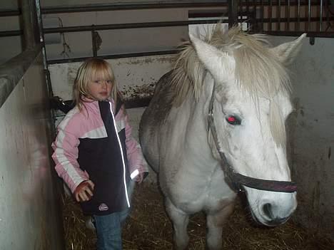 Anden særlig race Snehvide - et dagligt billede billede 6