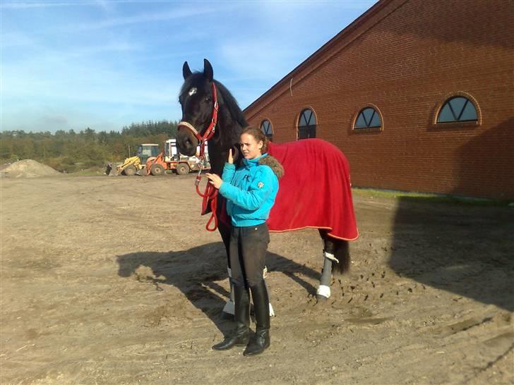 Dansk Varmblod carello "Solgt" - Den dag jeg var oppe og aflevere carello :´(  det sidste billede der er bleet taget af mig og ham:´( Elsker ham stadig og savner ham mega meget:´( Ved han har det godt hvor han er nu..:) billede 1