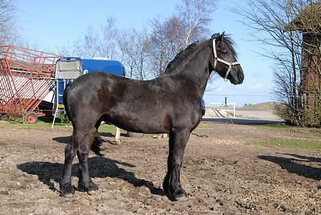 Frieser Hotse - † R.I.P † - Lignede sin far :´) Savner dig min lille dreng :´( (Foto: AP) billede 14