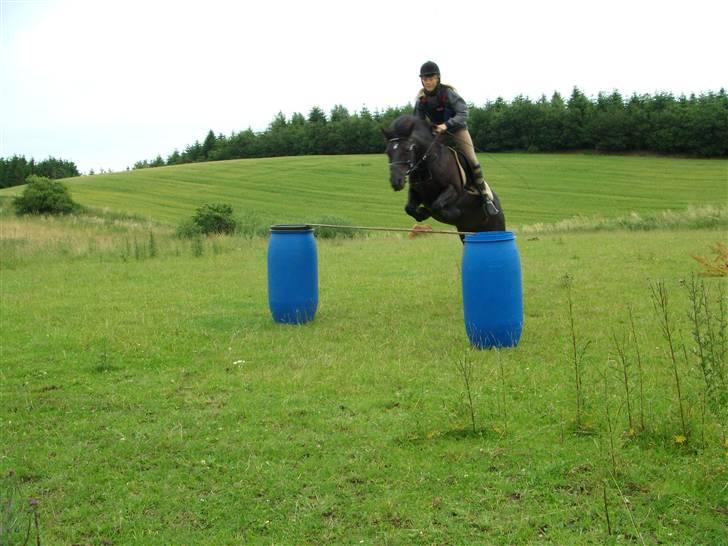 Anden særlig race Beauty  - Mig & Beauty, spring trænning. 100 cm. billede 11