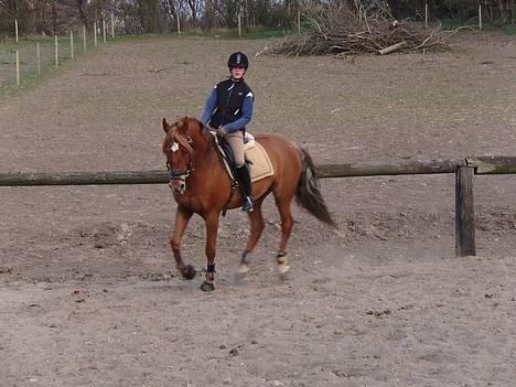 Anden særlig race Diamond [R.I.P] - *NYT* Undervisning d. 11.04.07 billede 12