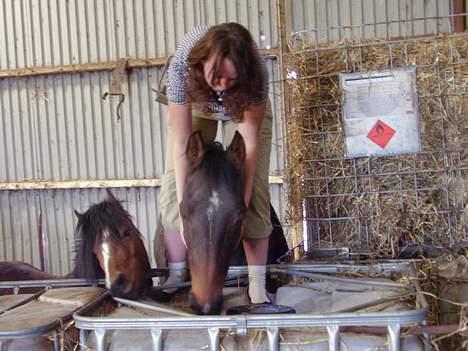 Traver  (¯`v´¯)targo Birke(¯`v´¯) - står lige over nakken af ham og nusser med ham imens han spiser billede 11