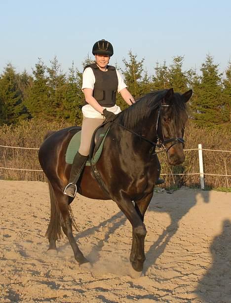 Trakehner Essens R.I.P min smukke.. - Stemningsbillede - træning maj 2006 billede 13