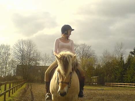 Fjordhest Claus - Gammel Part :'/ - Dressur i skridt ;) Glem mine PIV skæve bøjler , tror vist jeg er lidt skæv benet s: HAHA [Fotograf: Yasmin] billede 13