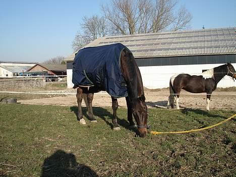 Anden særlig race Little Man Tate billede 11