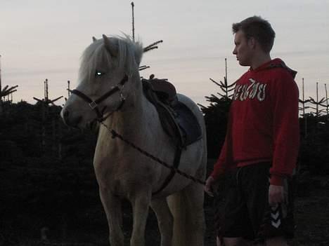 Islænder Prinsessa  solgt - Så er vi ude, at gå tur med sadel på for første gang billede 13