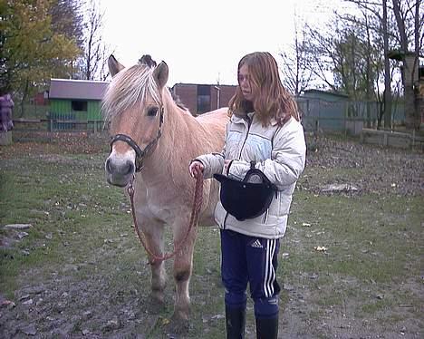 Fjordhest GFC's Fanja † R.I.P † - Kiki og Fanja , en af de sidste dage vi havde hende :´/ [Fotograf: Mig] billede 3