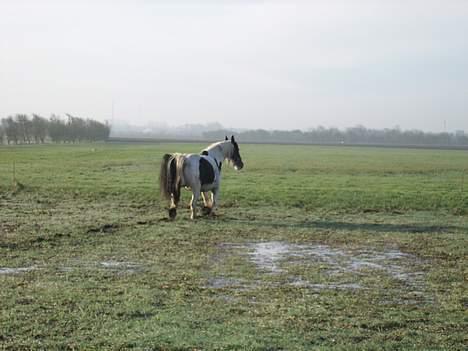 Tinker Chika Cherie - juhu vand skal lige ud og plaske lidt i det billede 17