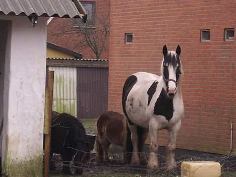 Tinker Chika Cherie - skal vi ikke snart ind og spise billede 19