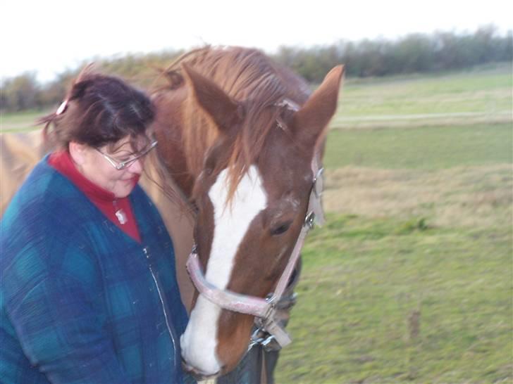 Gelderland Romeo - Min mor har guf i lommen til mig :-) billede 12