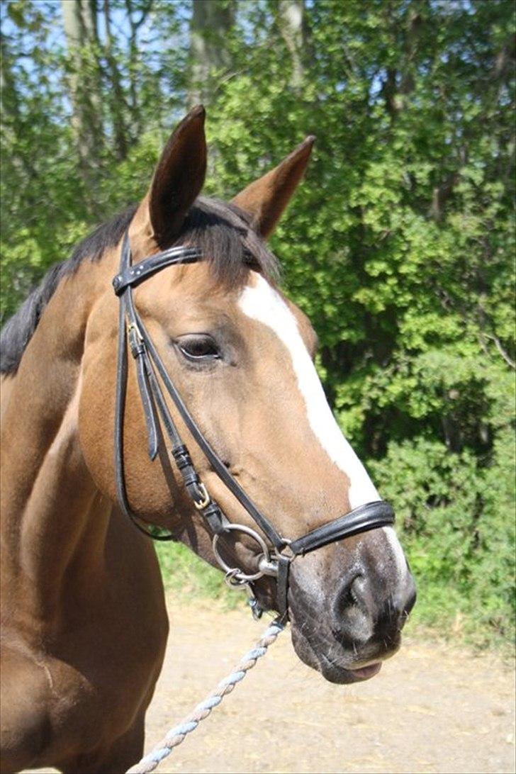 Anden særlig race Chantall [R.I.P] - 13) Nyt changement, hun kom rent over, ser lidt sjovt ud:P billede 9