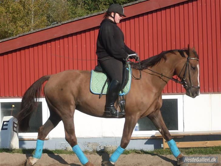 Anden særlig race Chantall [R.I.P] - 14) Nyt  billede 10