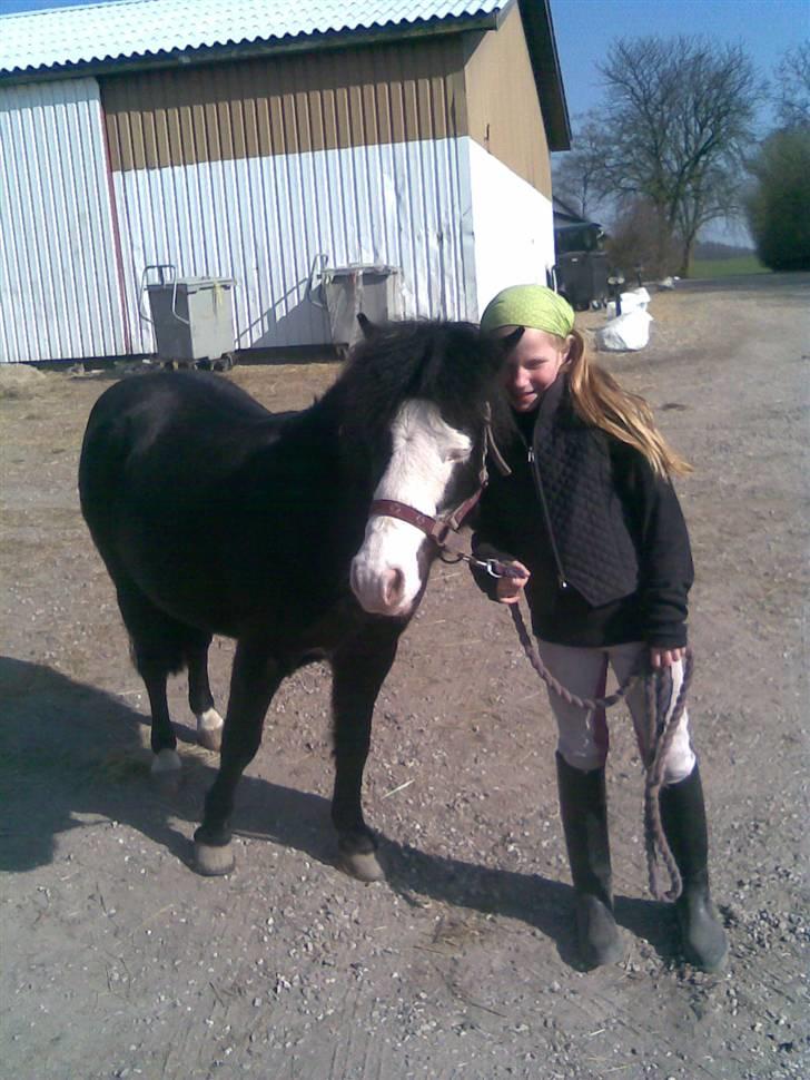 Anden særlig race Josefine (Død d 17-8-09) - nyt april 09 Mobil billede billede 6