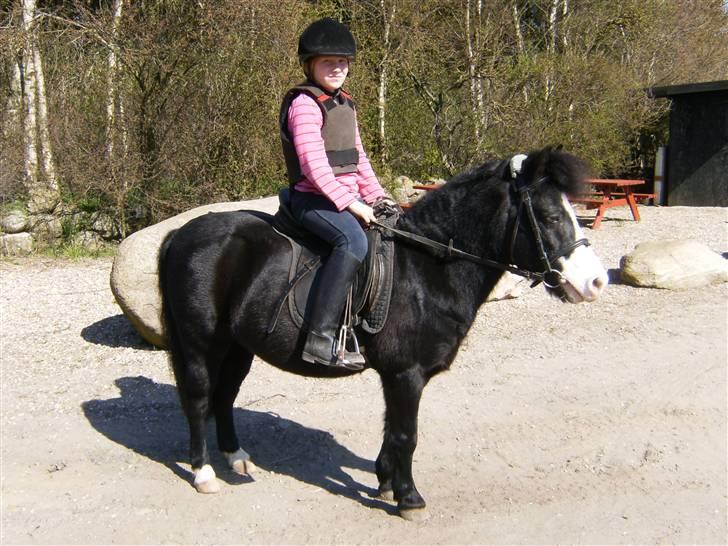 Anden særlig race Josefine (Død d 17-8-09) - emili og josefine 17-4-09 billede 11