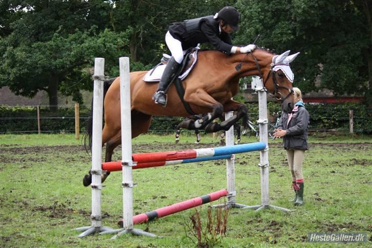 Anden særlig race Flying Mizty - opvarmning på lundtofte [ CRILLO&UNISON . ] billede 3