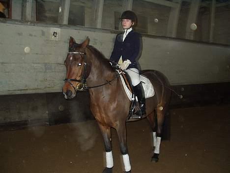 Hollandsk Sportspony Julandia ( Solgt )<3 - ». Julandia & Veronika, til stævne på Hørs. billede 2