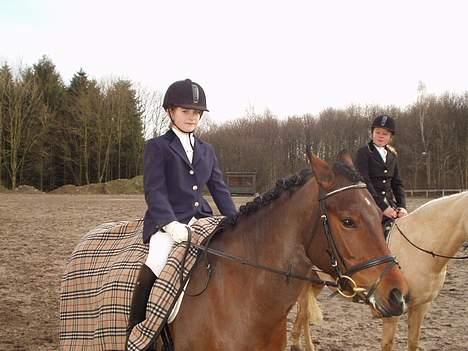 Hollandsk Sportspony Julandia ( Solgt )<3 - ». Julandia & mig, til stævne. billede 3