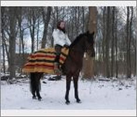 Hollandsk Sportspony Julandia ( Solgt )<3 - ». Julandia, salg´s billed da josephine skulle sælge hende. billede 12