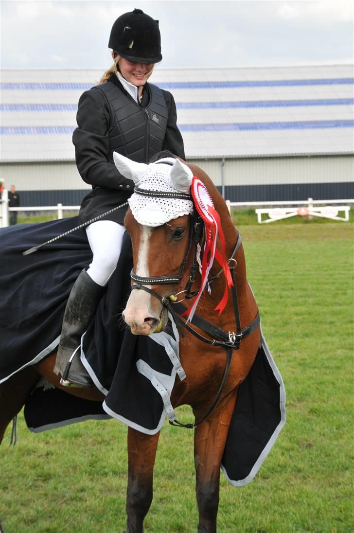 Anden særlig race /Araber Cheval - Vinder af Søhøjlandets Mini cup 2008 billede 3