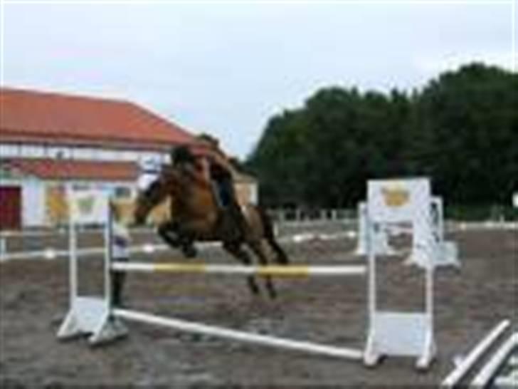 Anden særlig race Flying Mizty - 1 meter [ taget af: suz ] billede 10