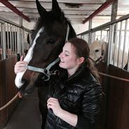 Traver Preppy lavec (solgt)