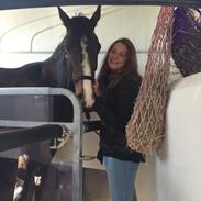 Traver Preppy lavec (solgt)