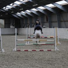 Anden særlig race F(abe)an