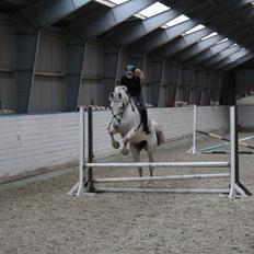 Anden særlig race F(abe)an