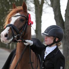 DSP Hoppesgård Stella