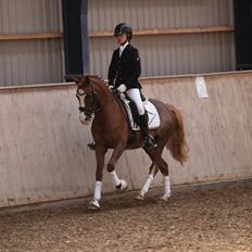 DSP Hoppesgård Stella