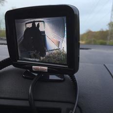 Fransk Varmblod Quatia des vaux