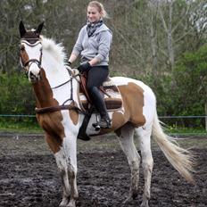 Pinto WHAT A SPOT - Solgt