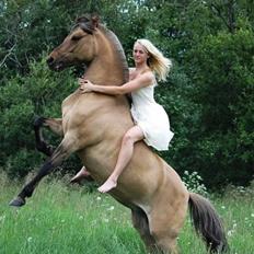 Anden særlig race Vanillin