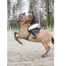 Anden særlig race Vanillin