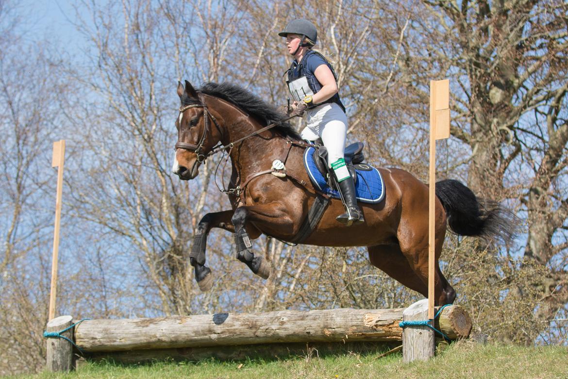 Anden særlig race Sisse - Militarystævne i Langå med Mathilde. Foto af SvendJ billede 18