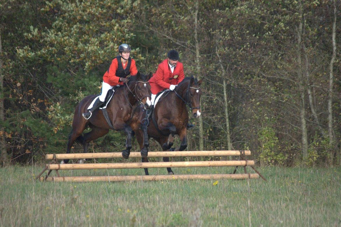 Anden særlig race Sisse - Hubertusjagt 2014 ved Poulstrup Sø billede 5