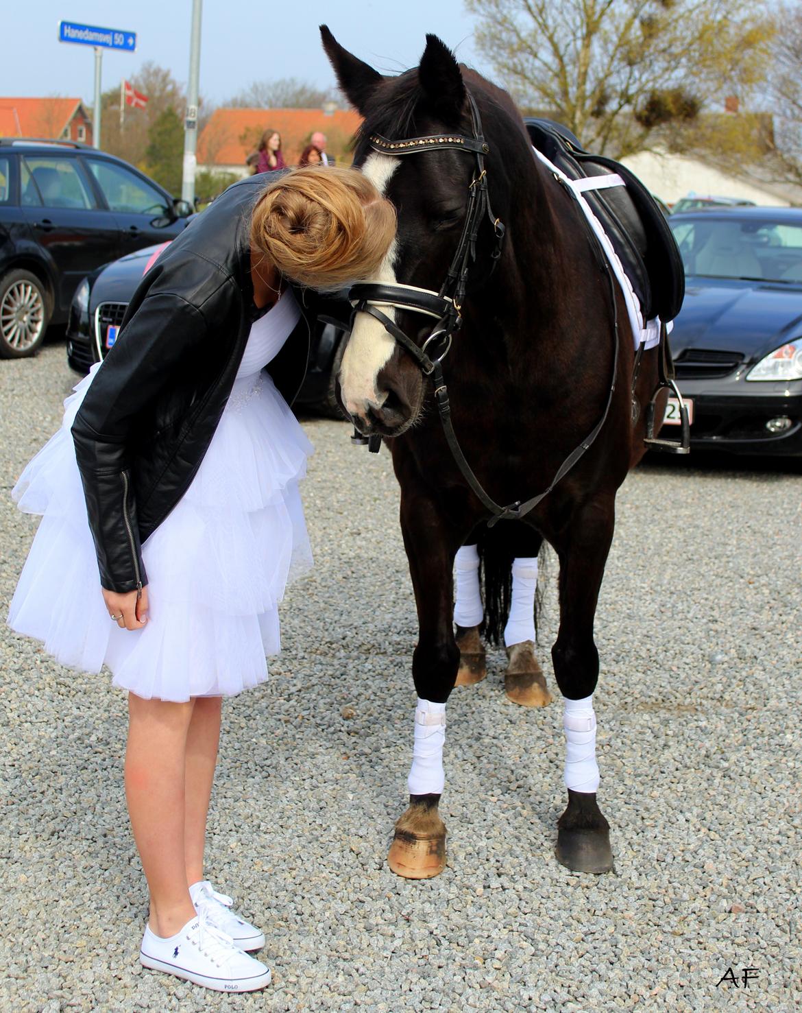 Anden særlig race Anomenens Gipzy Queen - Monse sammen med Nicoline på hendes konfirmation billede 19