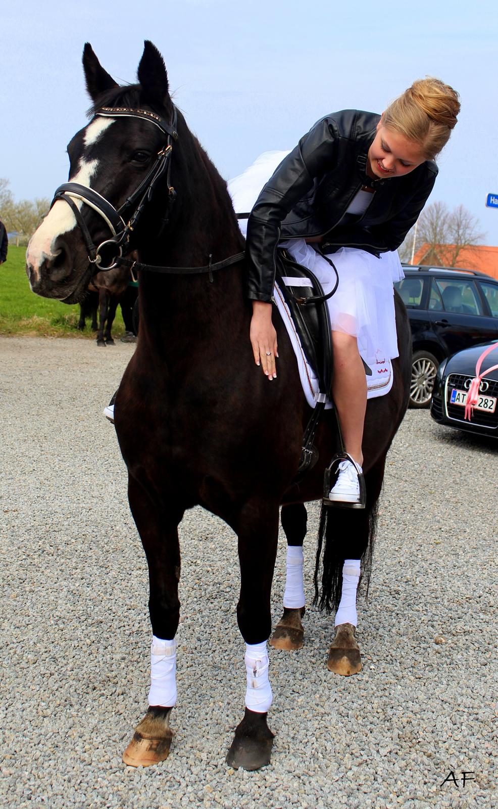 Anden særlig race Anomenens Gipzy Queen - Monse sammen med Nicoline på hendes konfirmation billede 7